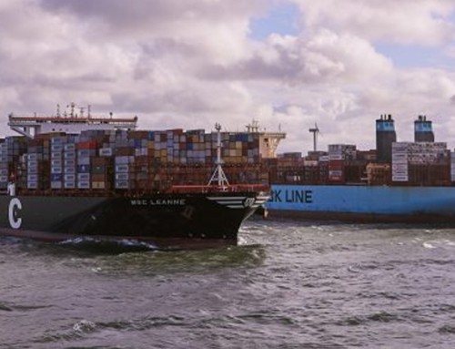 MSC blanks Swan and Dragon loops ahead of Golden Week holiday