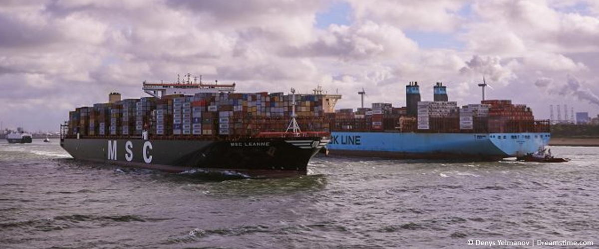 MSC blanks Swan and Dragon loops ahead of Golden Week holiday